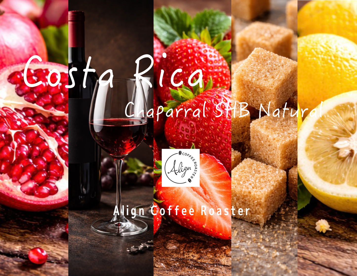 【中深煎り】Costa Rica Chaparral SHB Naturaru