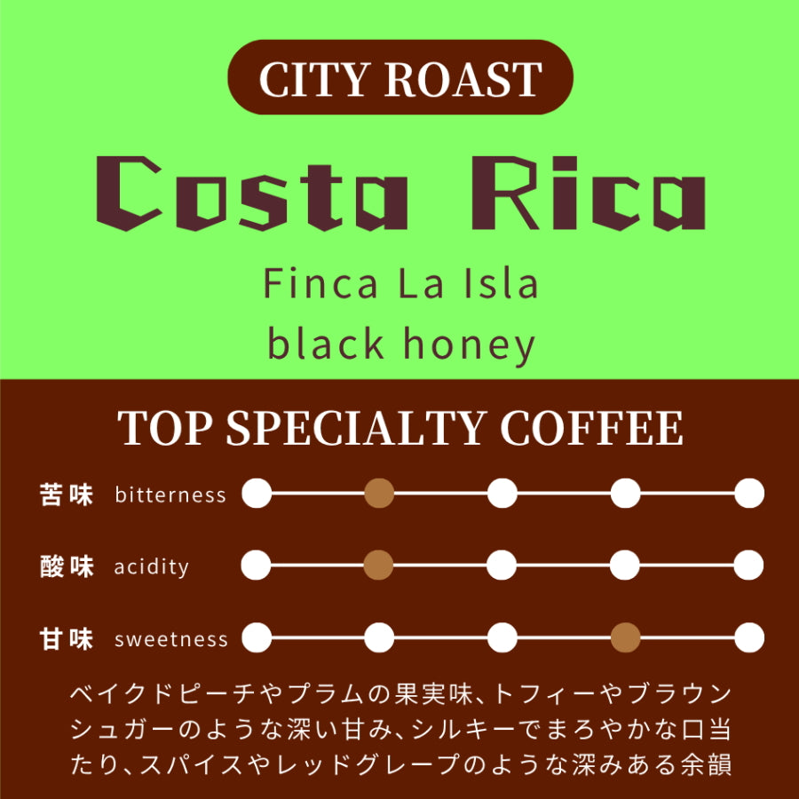 【中深煎り】 コスタリカ ビジャサルチ ラ・イスラ農園 アルバル ブエナ・ヴィスタミル ブラックハニー