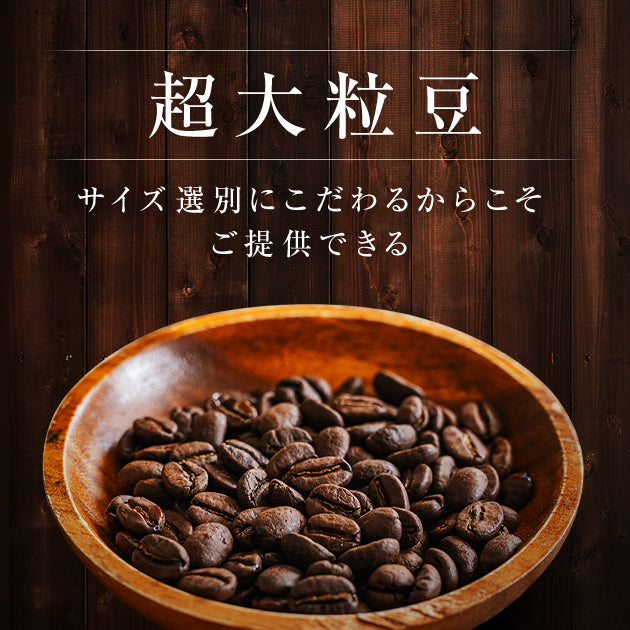 【超大粒豆】【数量限定】 コスタリカ オレンジティピカ アグリビッド・マイクロミル ハニー