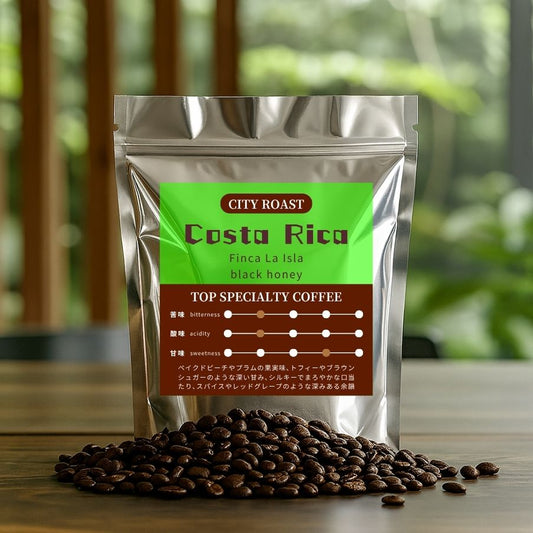 【中深煎り】 コスタリカ ビジャサルチ ラ・イスラ農園 アルバル ブエナ・ヴィスタミル ブラックハニー