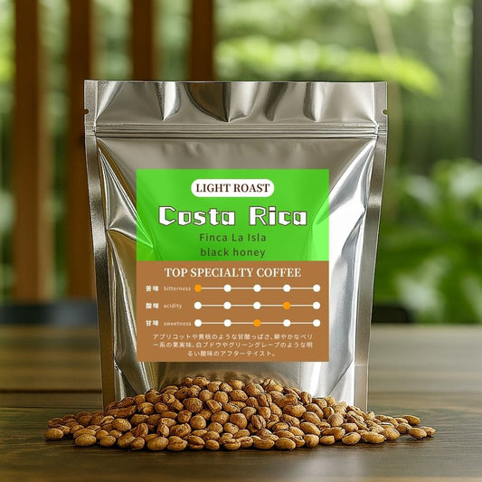 【浅煎り】 コスタリカ ビジャサルチ ラ・イスラ農園 アルバル ブエナ・ヴィスタミル ブラックハニー
