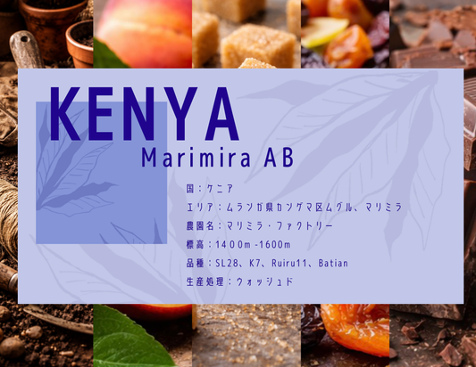 【中深煎り】Kenya　Marimira　AB
