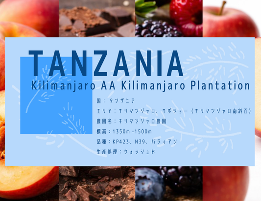 【中深煎り】Tanzania Kilimanjaro AA Kilimanjaro Plantation Washed