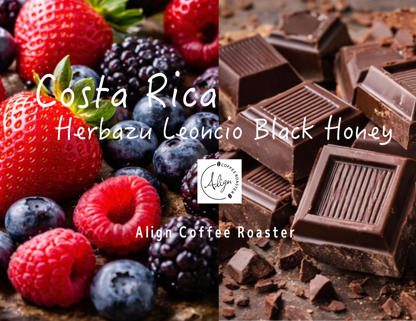 【中深煎り】 Costa Rica Herbazu Leoncio Black Honey