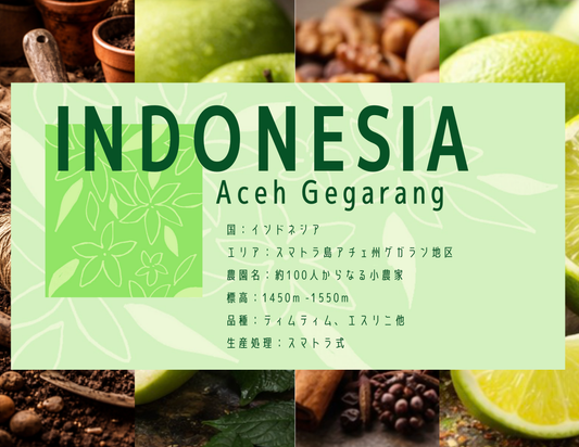 【中深煎り】 Mandhering Indonesia Aceh Gegarang