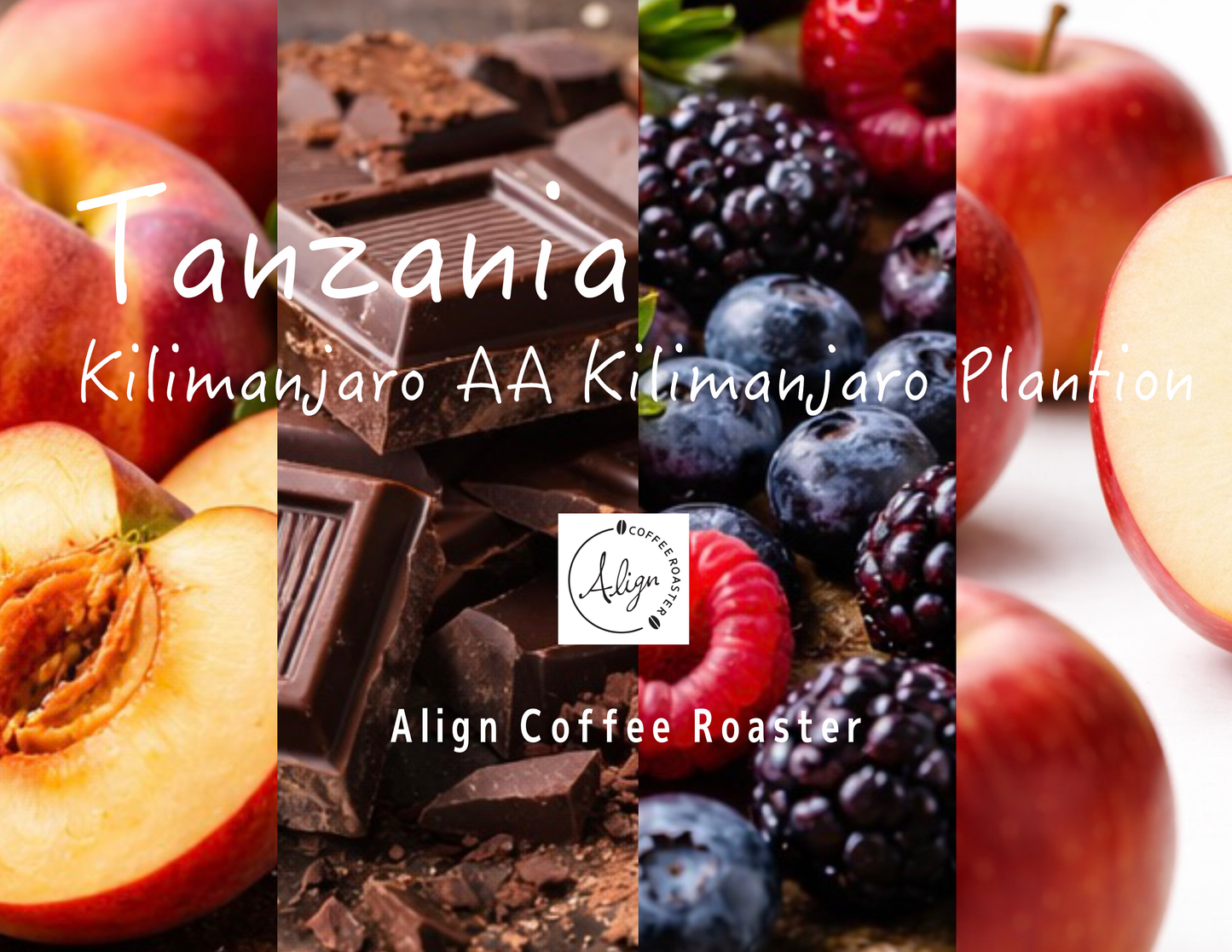 【中深煎り】Tanzania Kilimanjaro AA Kilimanjaro Plantation Washed