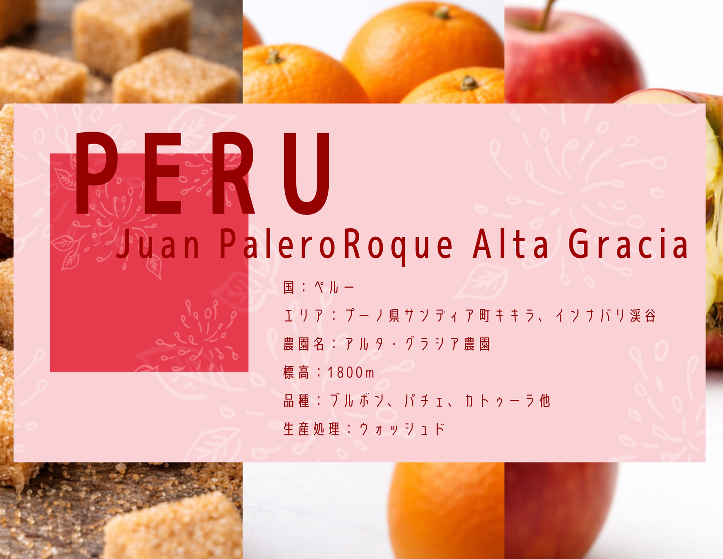 【中深煎り】 Peru Juan Palero Roque Alta Gracia