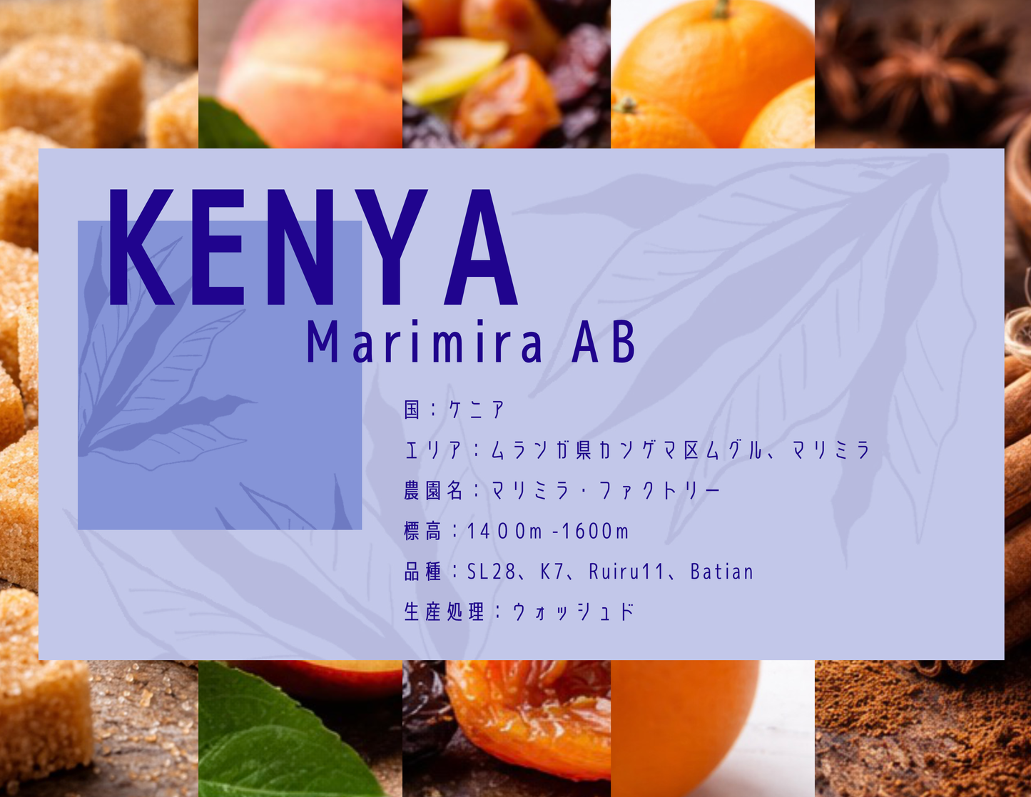 【浅煎り】Kenya　Marimira　AB
