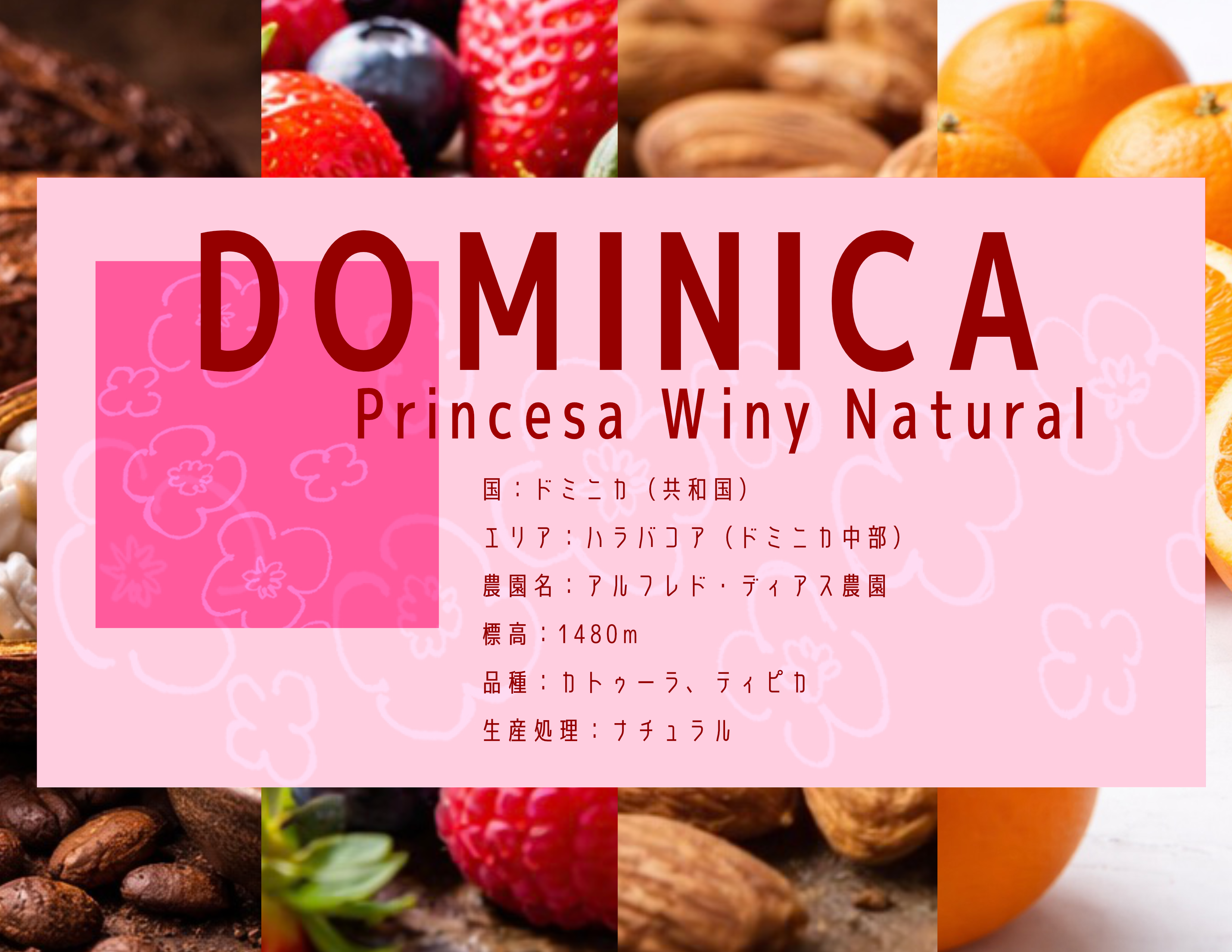Dominica Princesa Winy Natural 浅煎り
