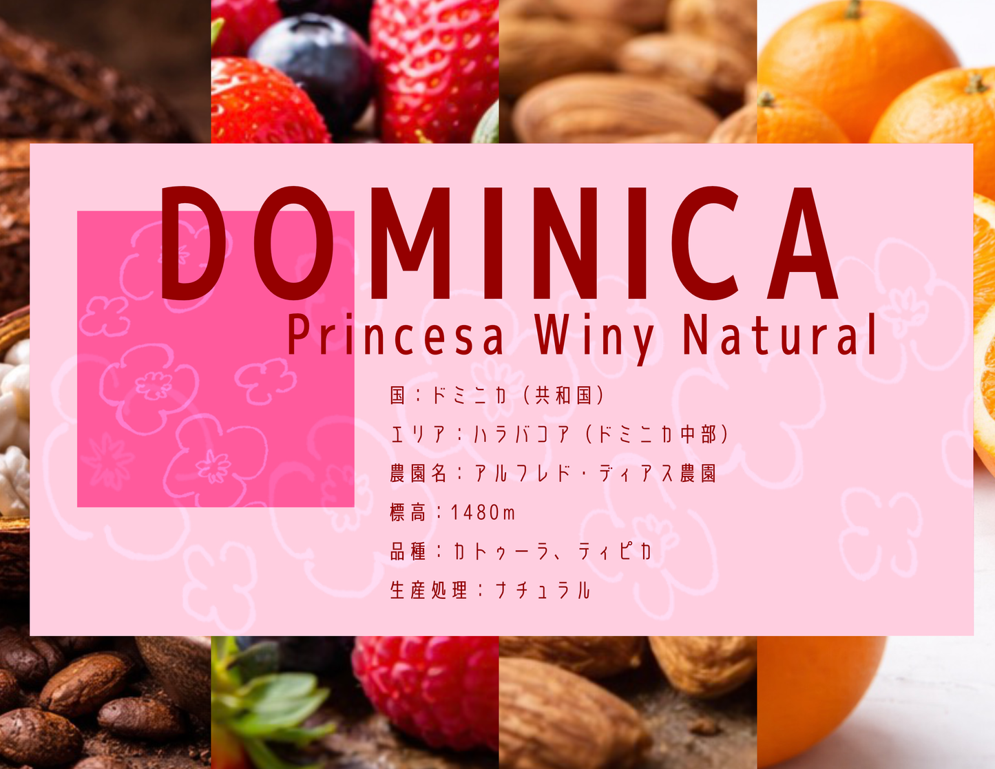 【浅煎り】Dominica Princesa Winy Natural
