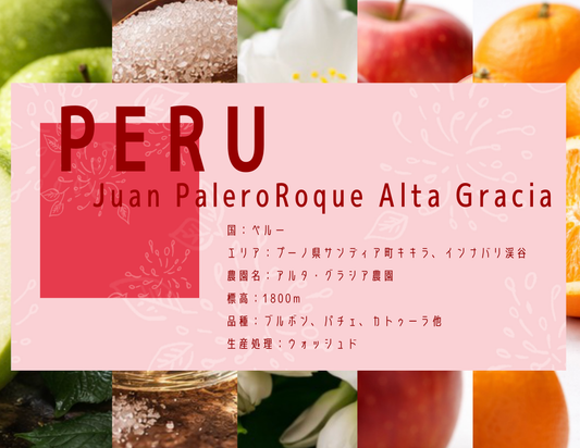 【浅煎り】 Peru Juan Palero Roque Alta Gracia