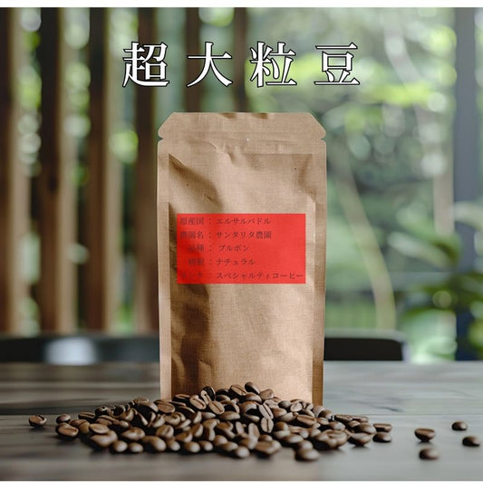 【超大粒豆】【数量限定】　エルサルバドル　サンタリタ農園　ブルボン　ナチュラル