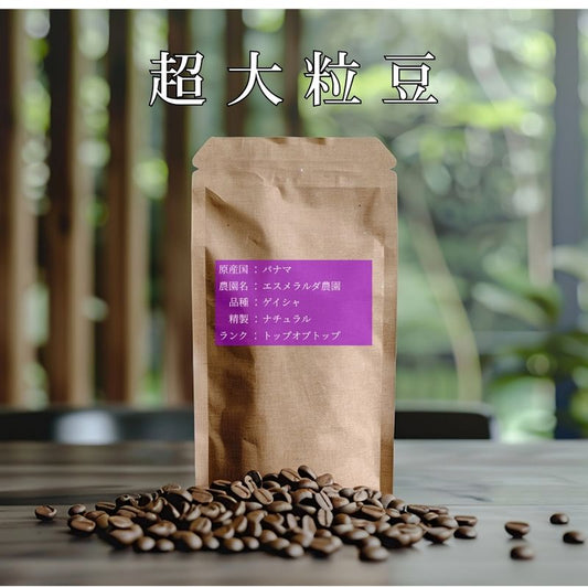 【超大粒豆】【数量限定】【受注後焙煎】 パナマ　ゲイシャ　エスメラルダ農園　プライベート・コレクション　ナチュラル