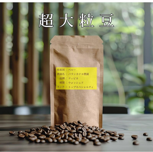 【超大粒豆】【数量限定】　ペルー　パランカナヨ農園　ティピカ　ウォッシュド