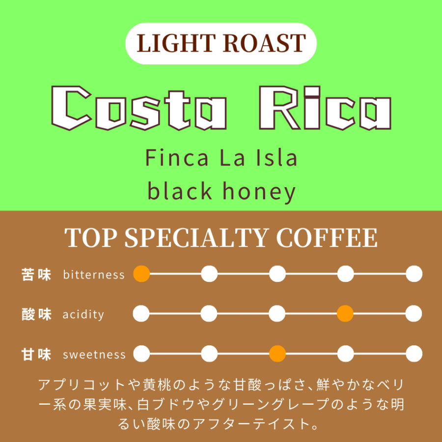 【浅煎り】 コスタリカ　ビジャサルチ　ラ・イスラ農園　アルバル　ブエナ・ヴィスタミル　ブラックハニー