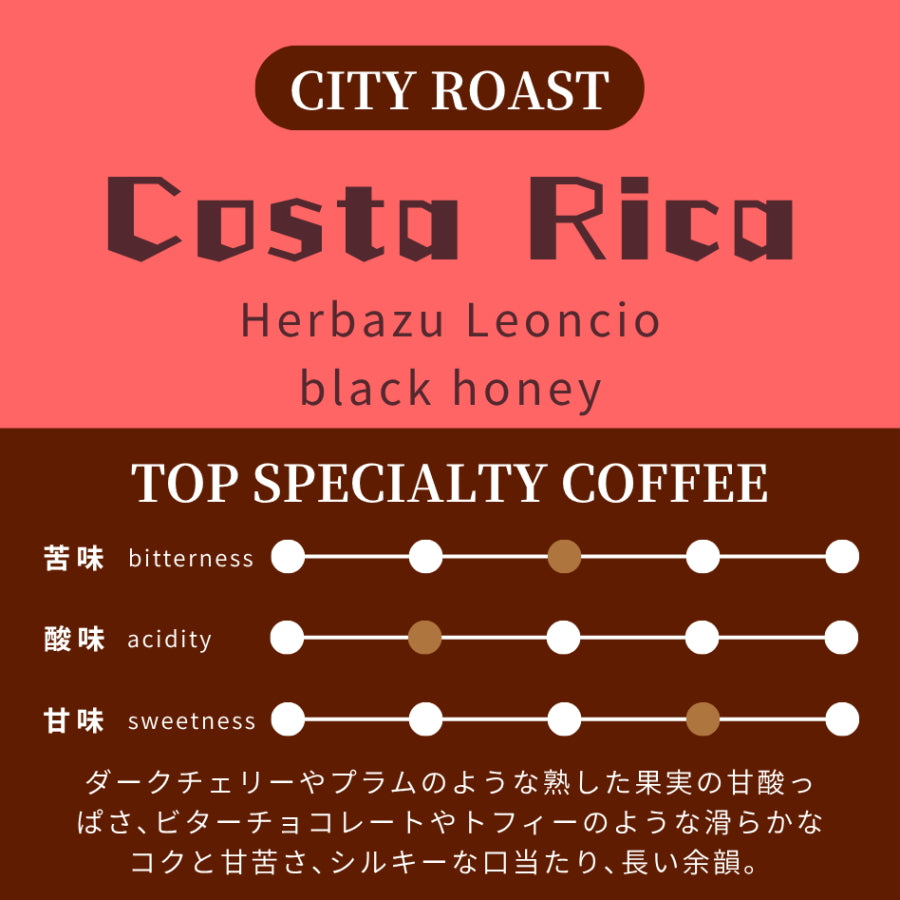 【中深煎り】 コスタリカ　ビジャサルチ　レオンシオ農園　エルバス・マイクロミル　ブラックハニー