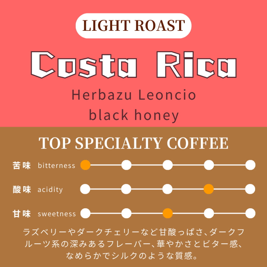 【浅煎り】 コスタリカ　ビジャサルチ　レオンシオ農園　エルバス・マイクロミル　ブラックハニー