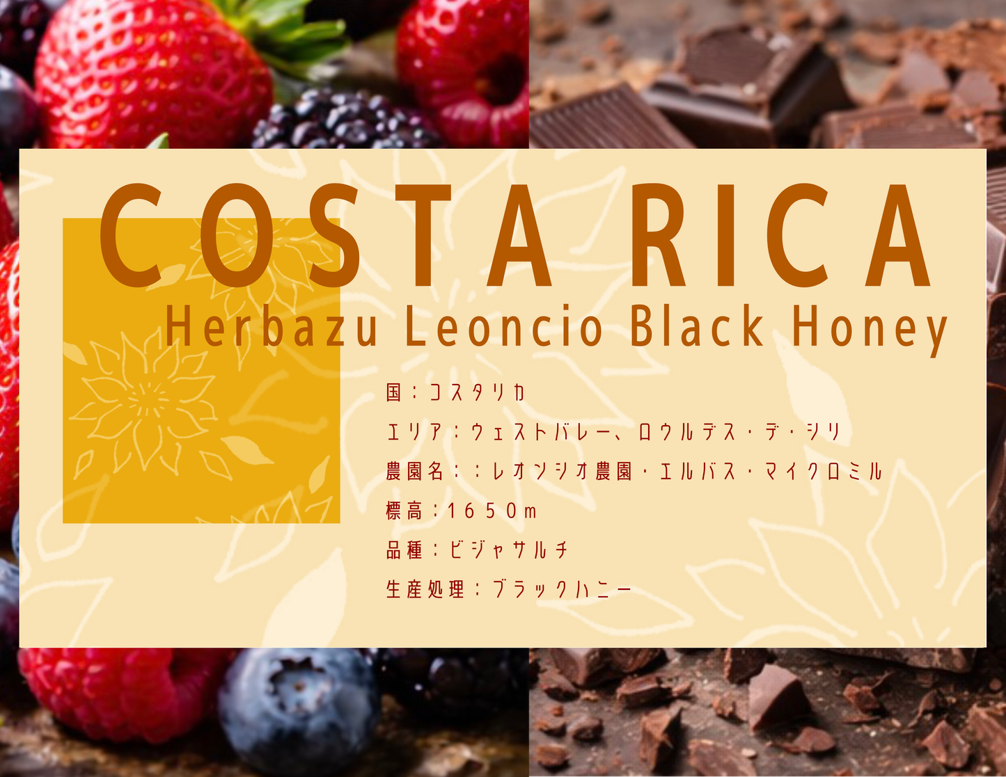 【中深煎り】 Costa Rica Herbazu Leoncio Black Honey