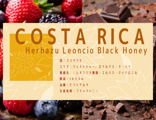 【中深煎り】 Costa Rica Herbazu Leoncio Black Honey
