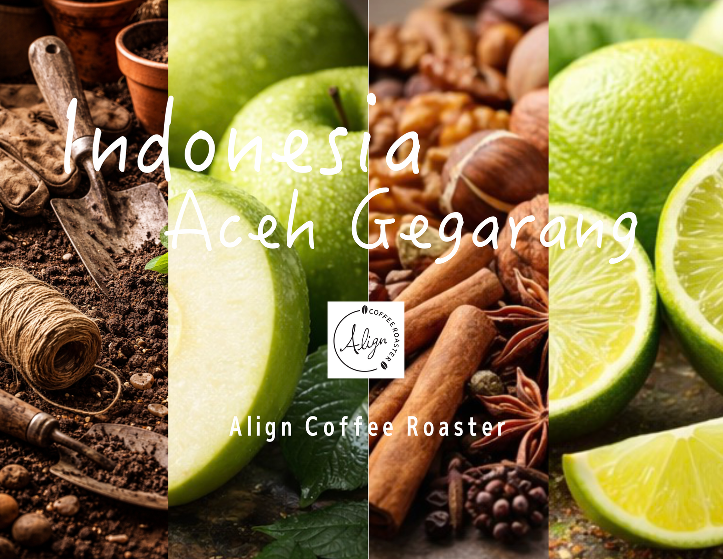 【中深煎り】 Mandhering Indonesia Aceh Gegarang