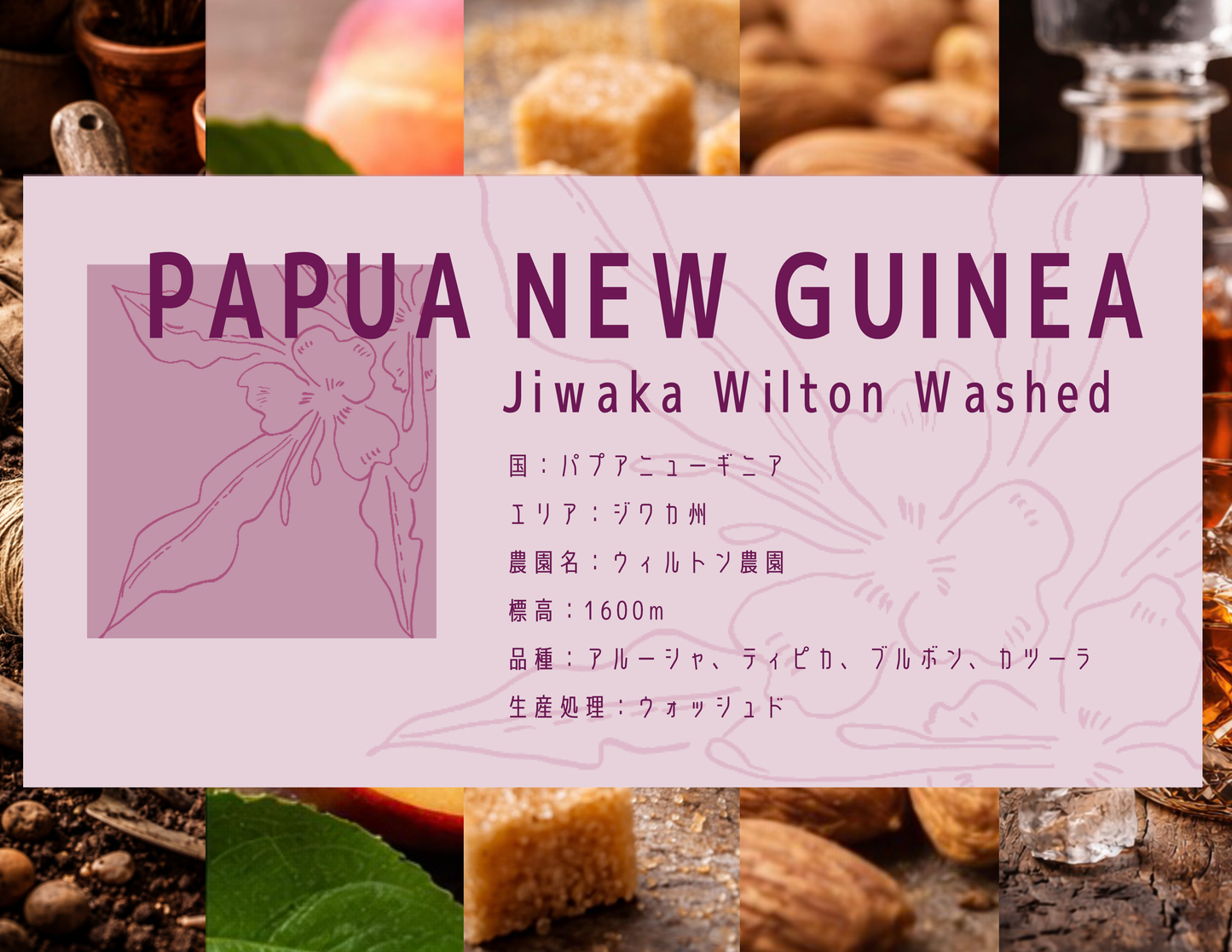 ［中深煎り］Papua New Guinea Jiwaka Wilton Washed