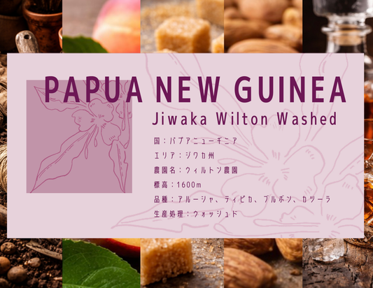［中深煎り］Papua New Guinea Jiwaka Wilton Washed