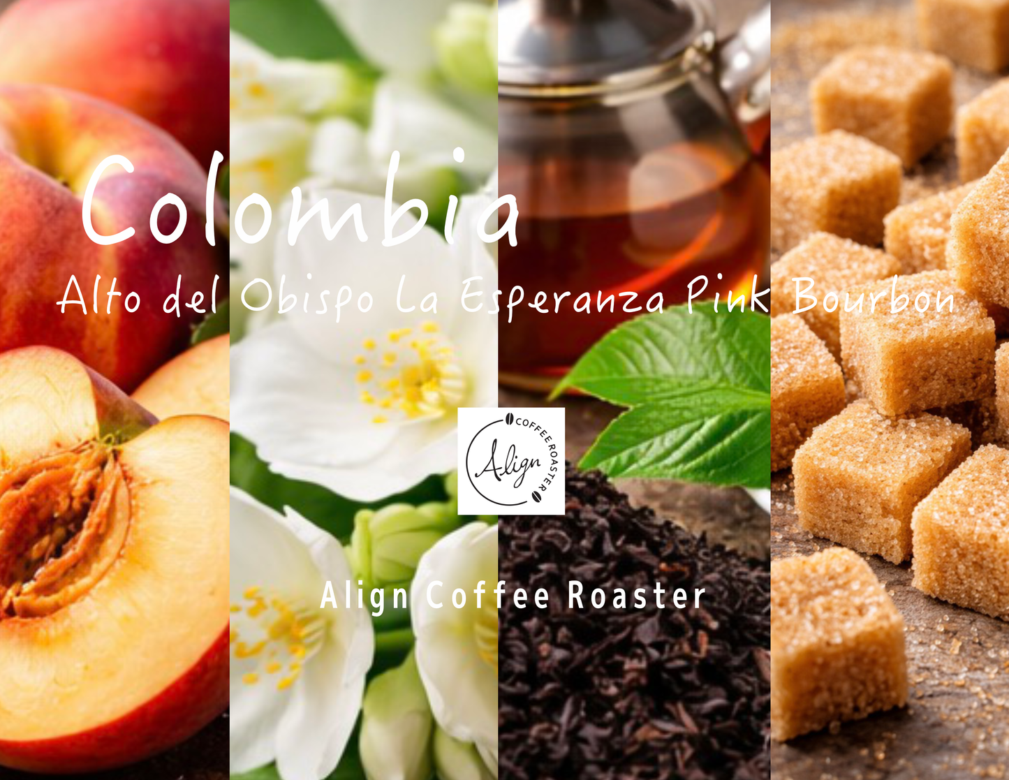 【中深煎り】 Colombia Alto del Obispo La Esqeranza Pink Bourbon