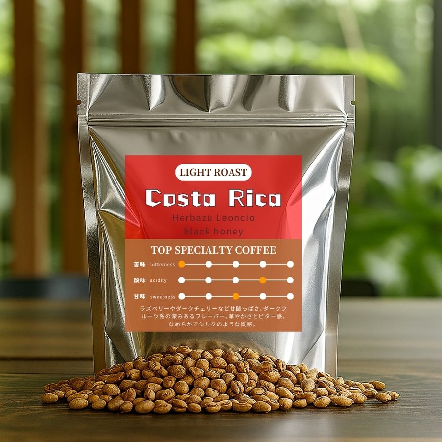 【浅煎り】 コスタリカ　ビジャサルチ　レオンシオ農園　エルバス・マイクロミル　ブラックハニー