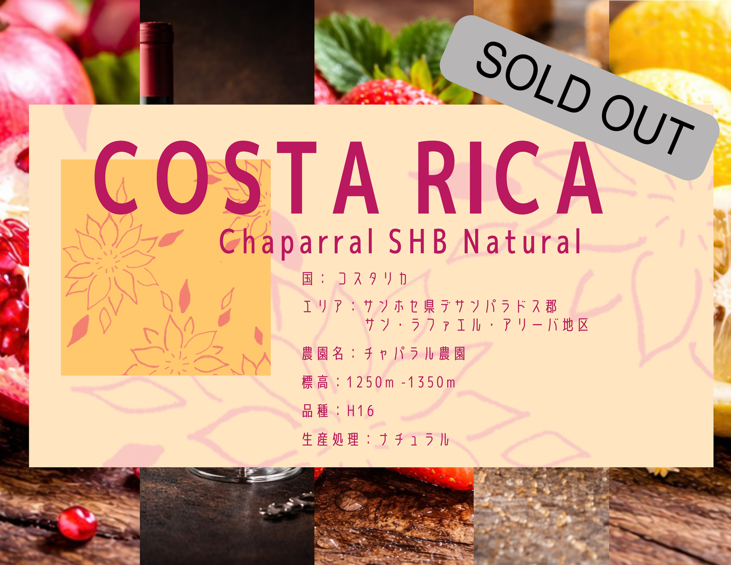 【中深煎り】Costa Rica Chaparral SHB Naturaru