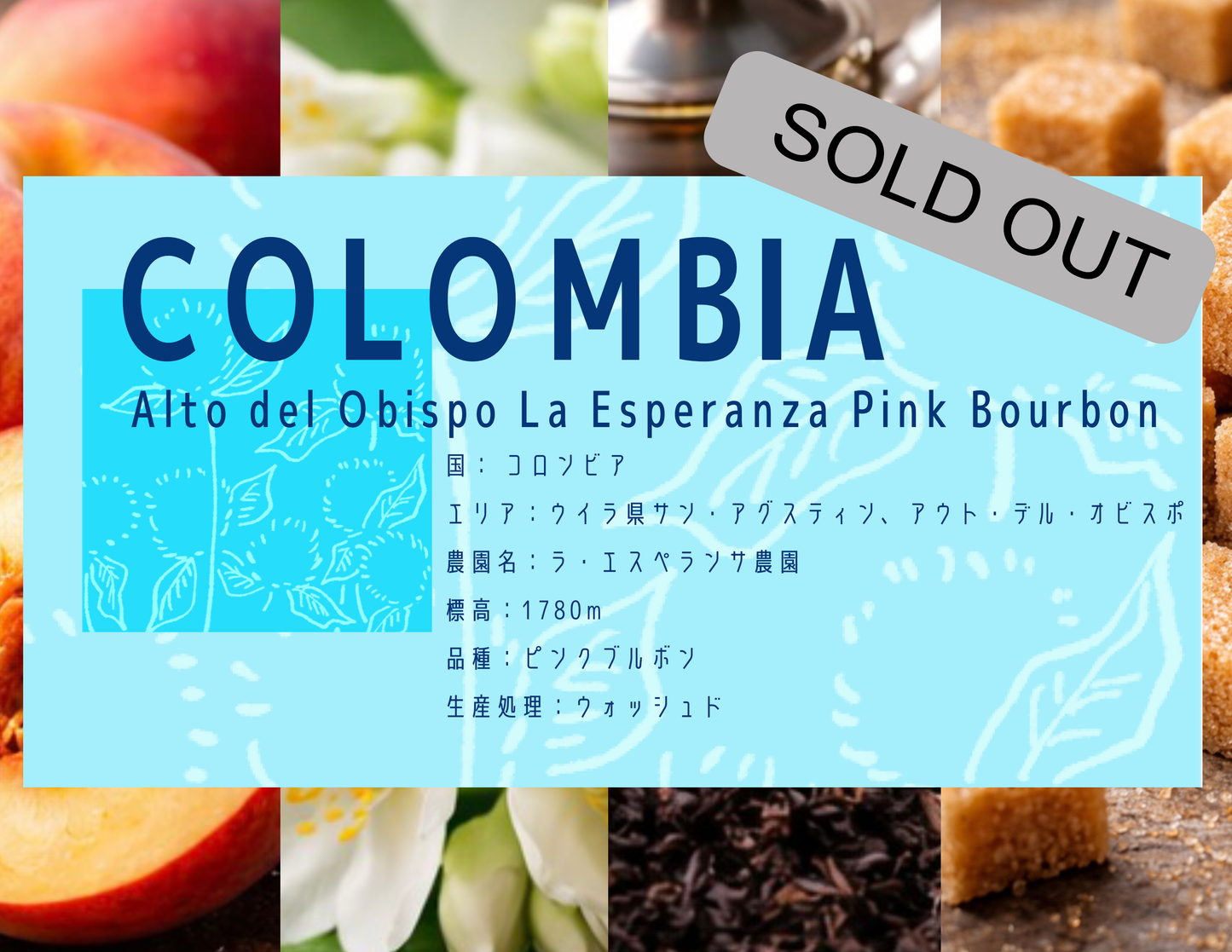 【中深煎り】 Colombia Alto del Obispo La Esqeranza Pink Bourbon