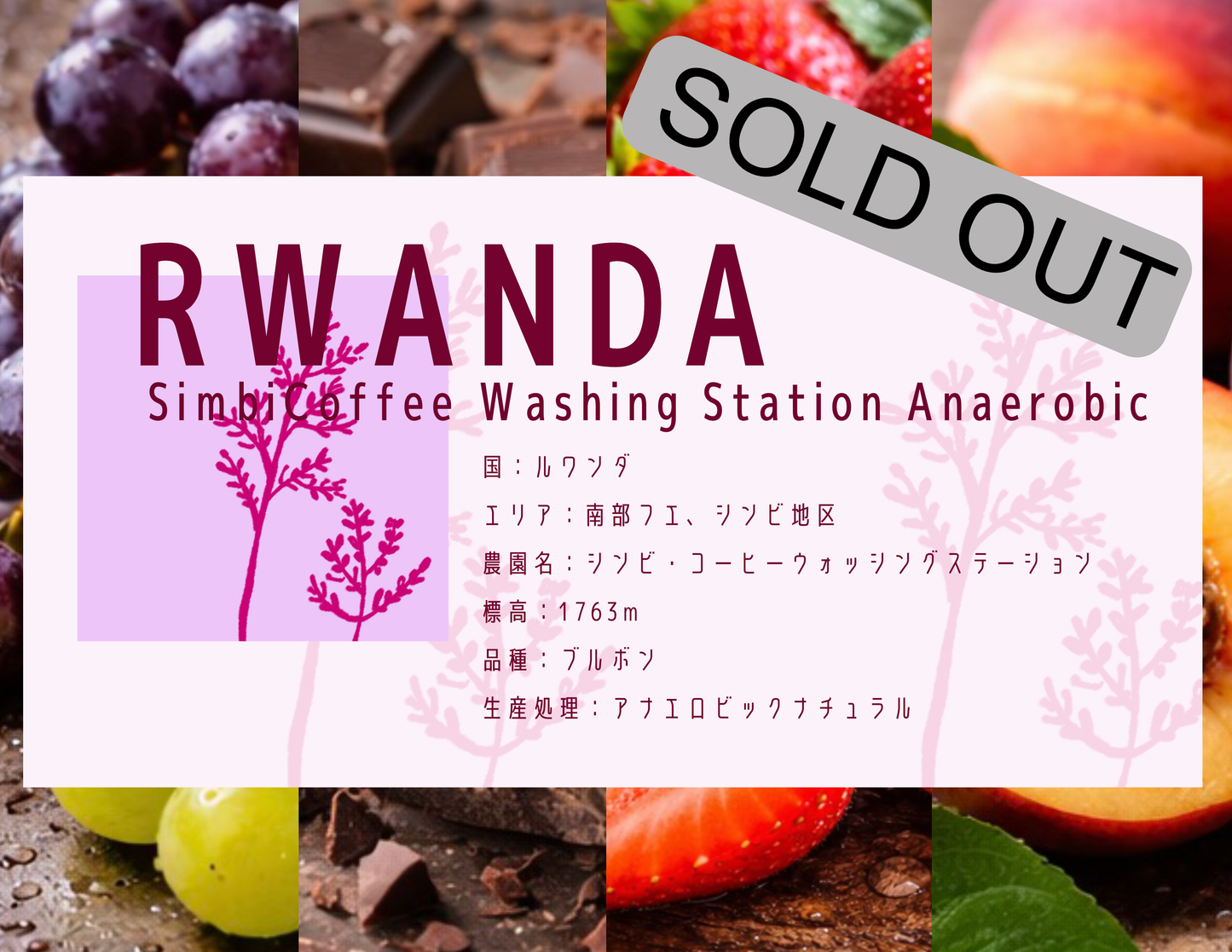 【浅煎り】Rwanda Simbi Coffee Washing Station Anaerobic