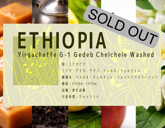 【浅煎り】 Ethiopia Yirgacheffe G-1 Gedeb Chelchele Washed